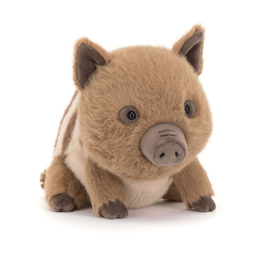 Swinley Boar 19cm