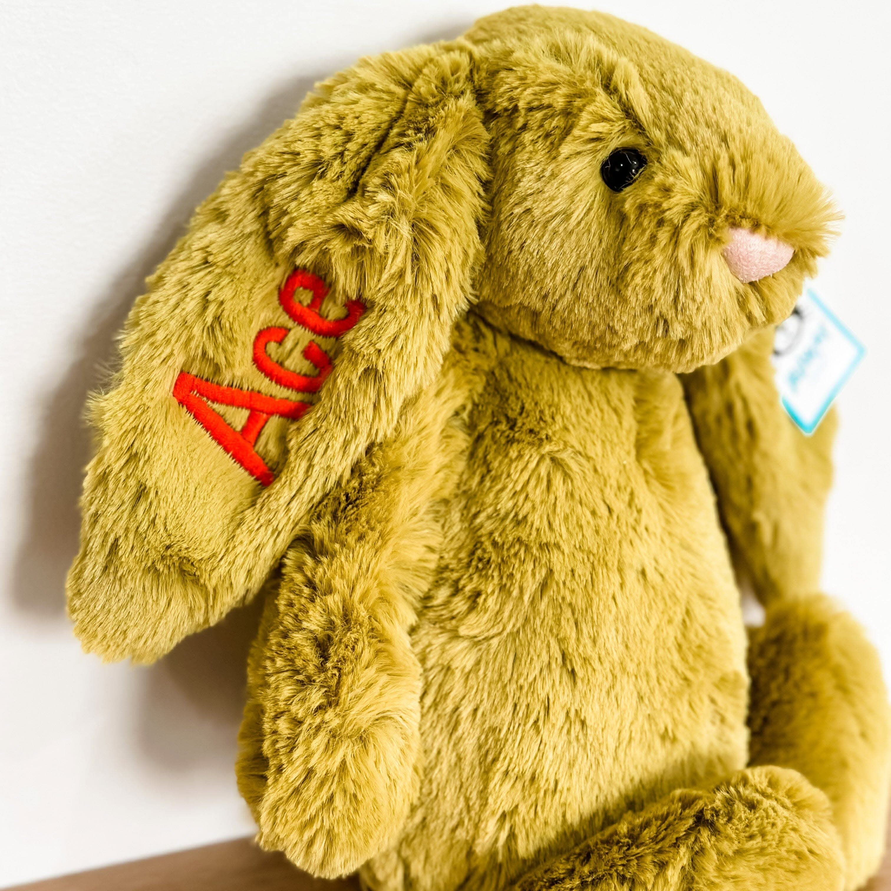 Bunny Plush Toy