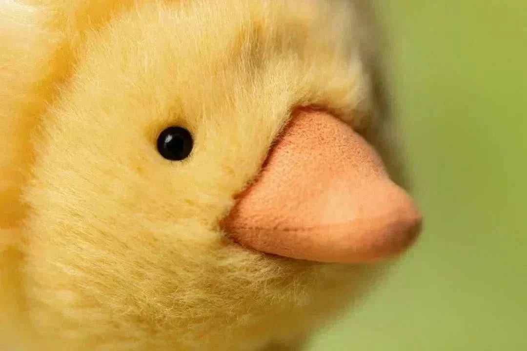 Duckling Plush Toy – 26 cm