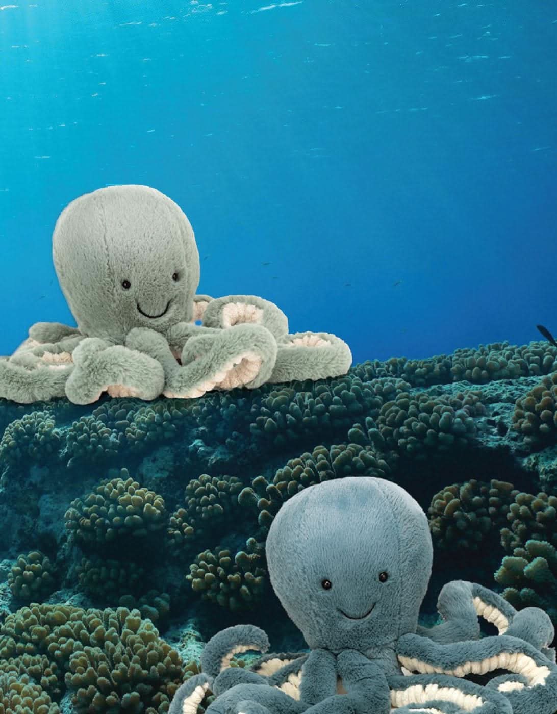 Octopus Plush Toy