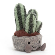 Silly Columnar Cactus 15cm