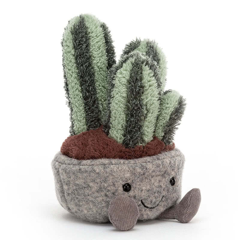 Silly Columnar Cactus 15cm