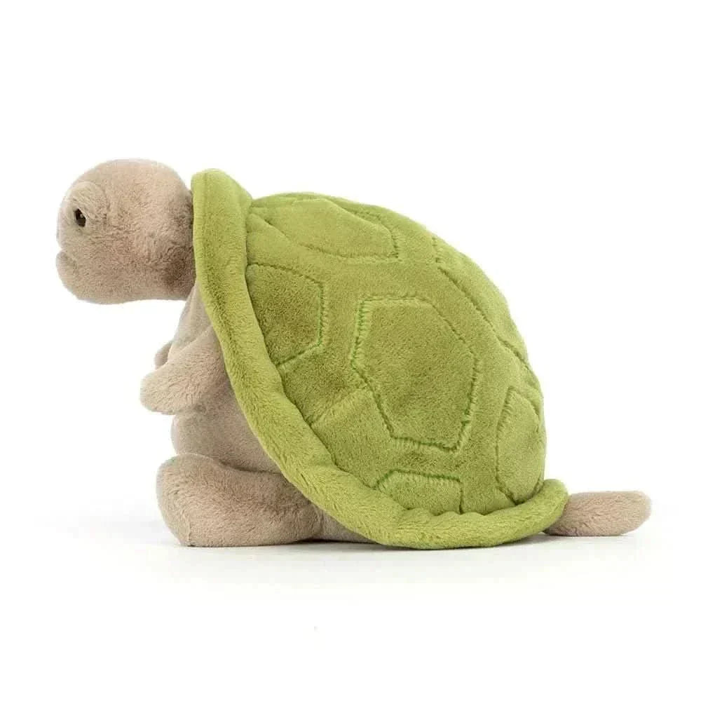 Timmy Turtle  Plush Toy