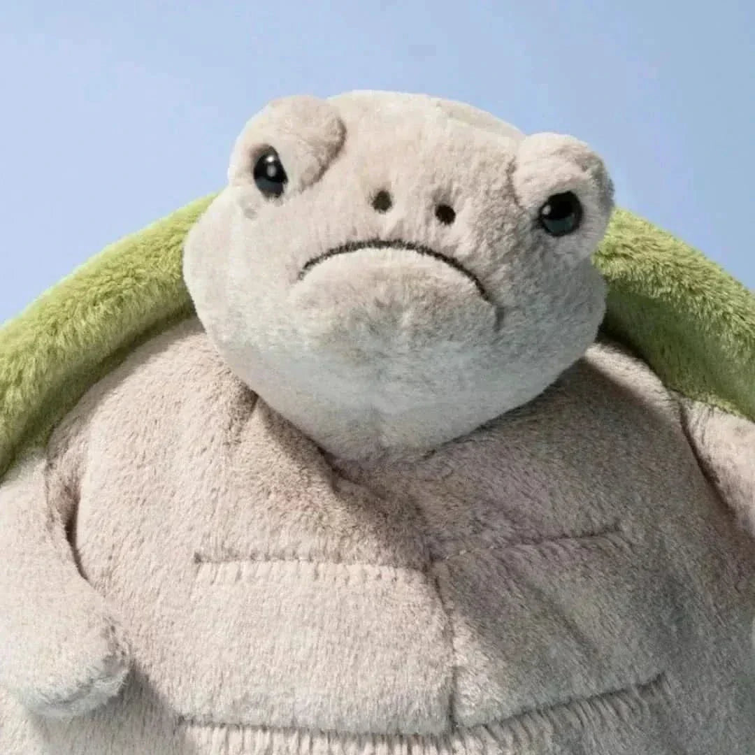 Timmy Turtle  Plush Toy