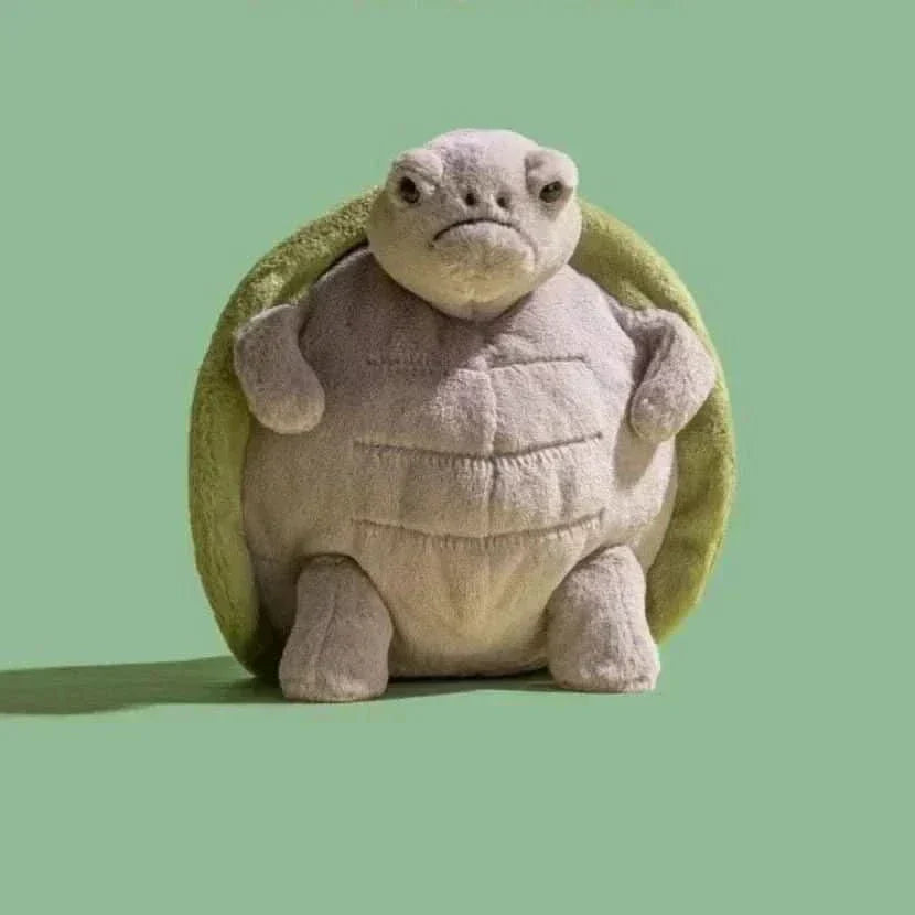 Timmy Turtle  Plush Toy