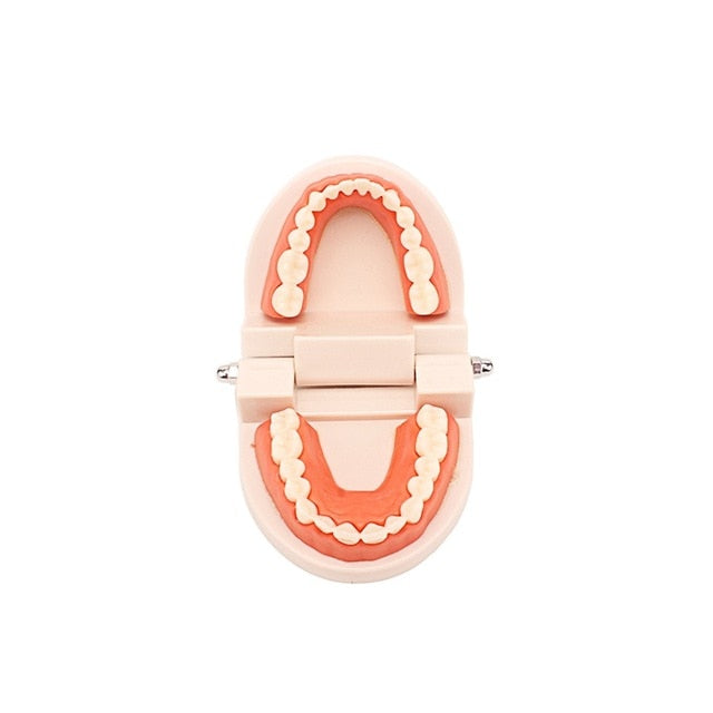 Practical Life Teeth Cleaning Toy