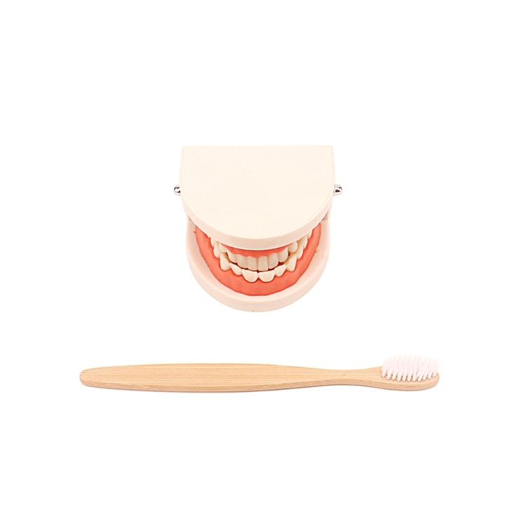 Practical Life Teeth Cleaning Toy